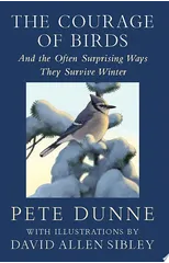 The Courage of Birds