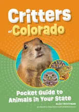 Critters of Colorado