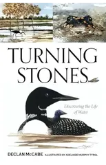 Turning Stones