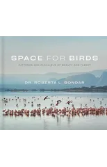 Space for Birds