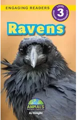 Ravens