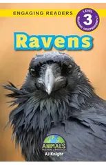 Ravens