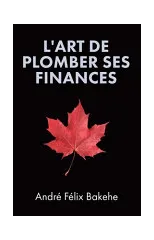 L'Art de Plomber ses Finances