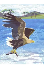 Nature Notebook