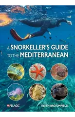 A Snorkeller’s Guide to the Mediterranean