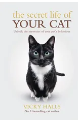 The Secret Life Of Your Cat