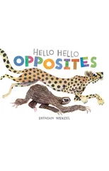 Hello Hello Opposites