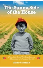 The Sunny Side of the House