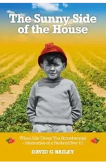 The Sunny Side of the House