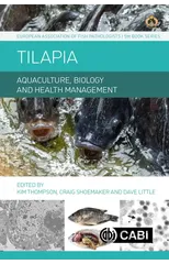Tilapia