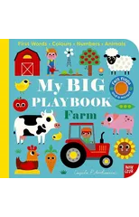 My BIG Playbook