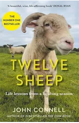 Twelve Sheep