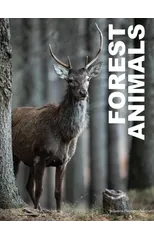 Forest Animals