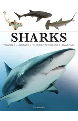 Sharks & Underwater Predators