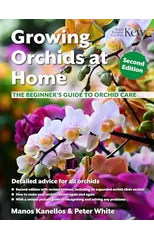 Growing Orchids at Home