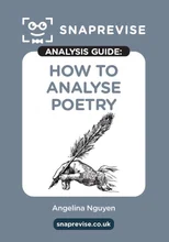 The SnapRevise Analysis Guides