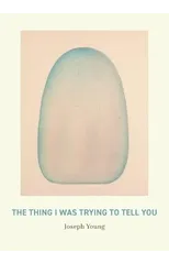 The Thing I Was Trying to Tell You