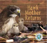Hawk Mother Returns