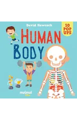 Human Body