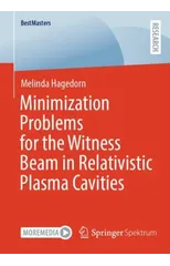 Minimization Problems for the Witness Beam in Relativistic Plasma Cavities