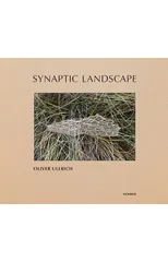 Synaptic Landscape