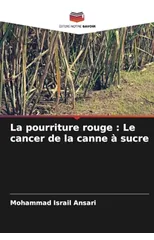La pourriture rouge