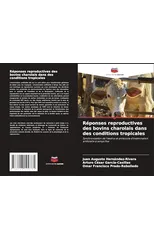 Reponses reproductives des bovins charolais dans des conditions tropicales