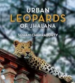 Urban Leopards of Jhalana