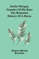 Botanical features of the Algerian Sahara (Edition1)