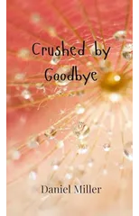 Crushed by Goodbye