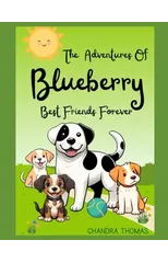 The Adventures Of Blueberry