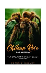 Chilean Rose Tarantula