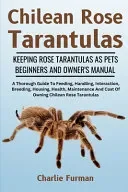 Chilean Rose Tarantulas