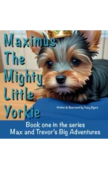 Maximus The Mighty Little Yorkie