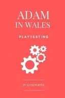 Adam in Wales - Playtesting