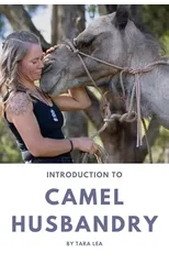 Introduction to Camel Husbandry