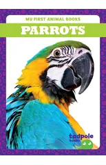Parrots