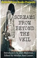 Screams From Beyond The Veil