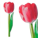 Flower Bookmarks - Painted Pink Tulip