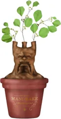 Vase Shaped - Harry Potter (Mandrake)