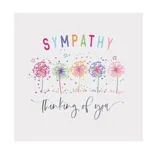 Confetti Celebration Sympathy