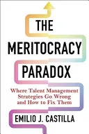 The Meritocracy Paradox