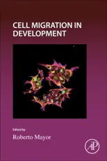 Cell Migration in Development