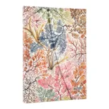 2026 Anemone (William Kilburn) Midi 12-month Verso Hardcover Flexi Dayplanner 2026 (Wrap Closure)