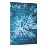 Sea Flowers (Anna Atkins’ Cyanotypes) Mini Lined Softcover Flexi Journal (Elastic Band Closure)