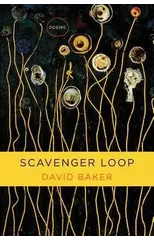 Scavenger Loop
