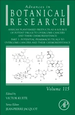 African Plant-Based Products as a Source of Potent Drugs to Overcome Cancers and Their Chemoresistance