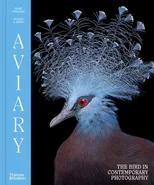 Aviary