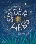 The Secret World of Spider Webs