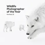 Wildlife Photographer of the Year